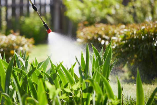 24/7 Emergency Mosquito Control experts in Cherry Hill Mall, NJ