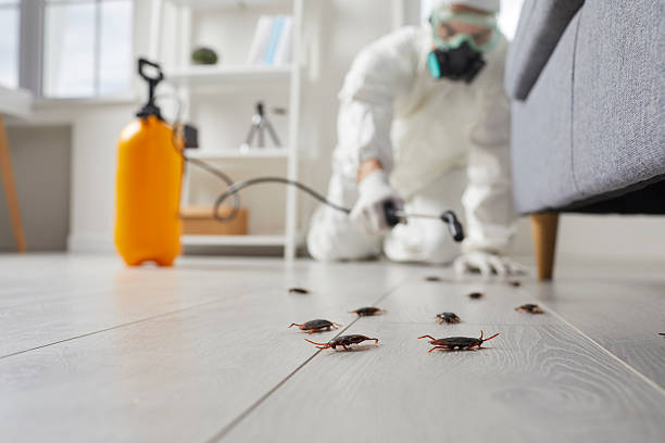 Trusted Termite Control service in Cherry Hill Mall, NJ - Nex Pest Control