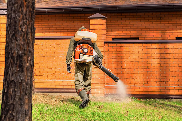Trusted Mosquito Control service in Cherry Hill Mall, NJ - Nex Pest Control